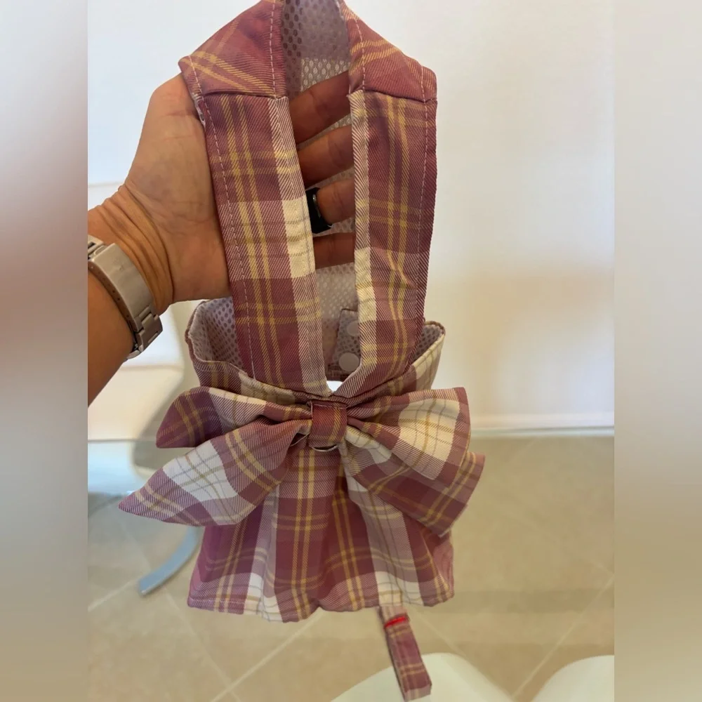 Plaid dress and harness 🩷